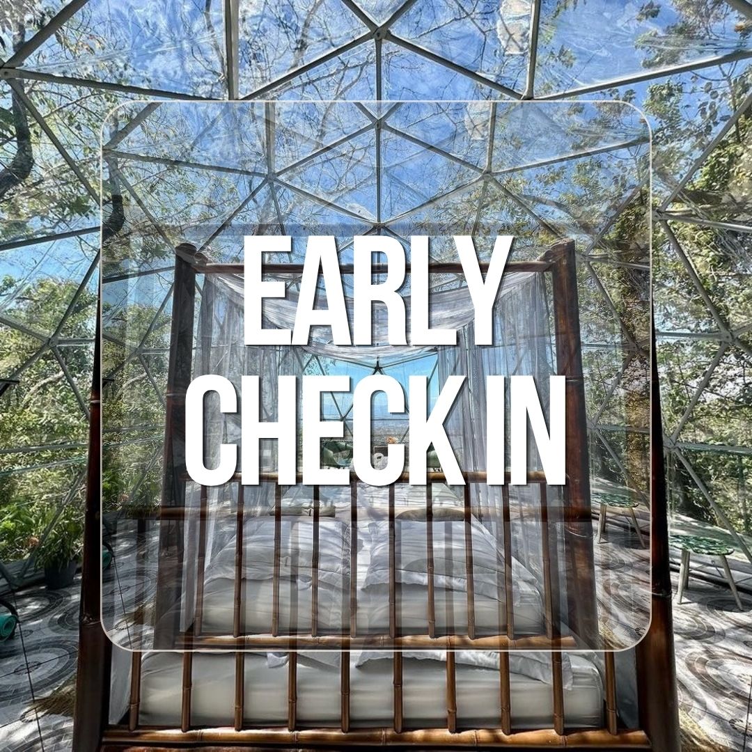 Early Check-in