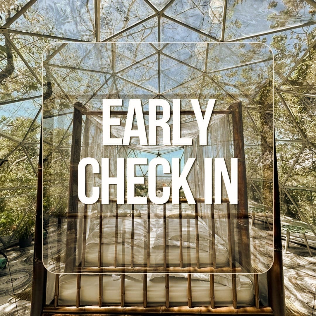 Early Check-in